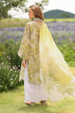 3Piece Embroidered Summer Lawn Collection 2026