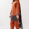 Premium Airjet Dhanak With Digital Wool Shawl Jazmin: 2218
