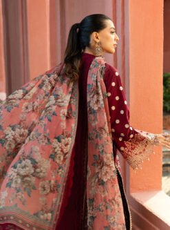 Zainab chutani Premium Airjet Dhanak With Digital print Wool Shawl ZC-2208 3 3 17