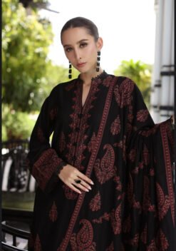 BAREEZE Premium Airjet Dhanak With EMBROIDERY Dhanak Shawl BZ-1204 2 6 8