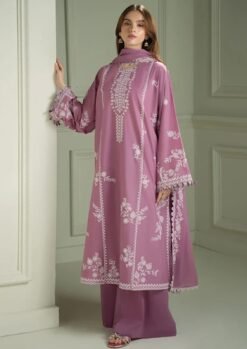 Premium Airjet Dhanak With EMBROIDERY Dhanak Shawl