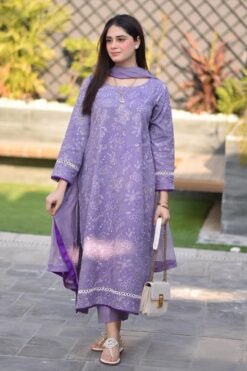 Bareeze Premium Airjet Dhanak With EMBROIDERY Dhanak Shawl BZ-1446 3 Premium Airjet Dhanak With EMBROIDERY Dhanak Shawl