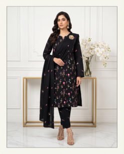 Premium Airjet Dhanak With EMBROIDERY Dhanak Shawl AN-2120